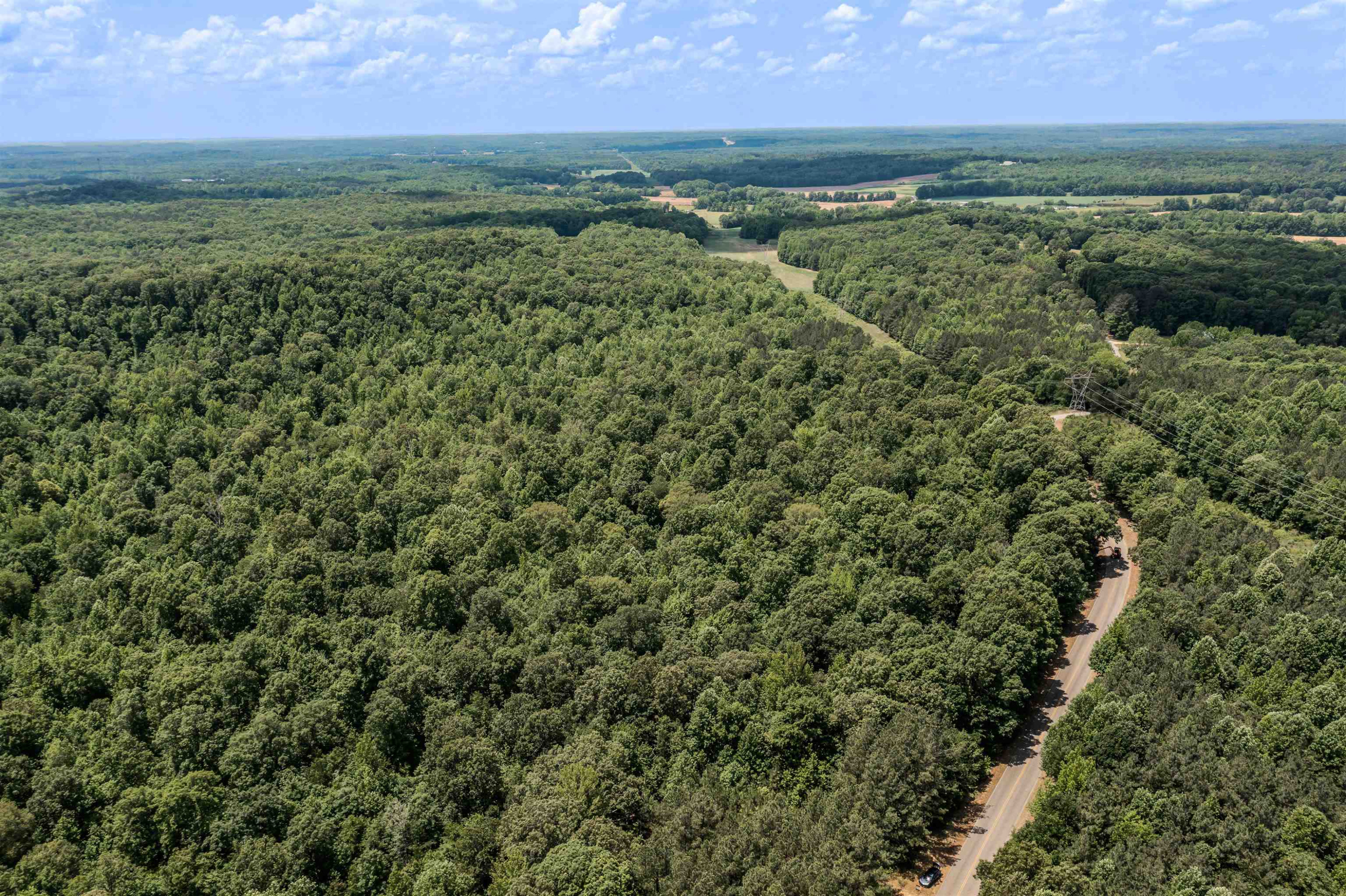 1700 Mt Gilead Road Cedar Grove, TN 38321 - Photo 10 of 14 an aerial view of a houses with a yard