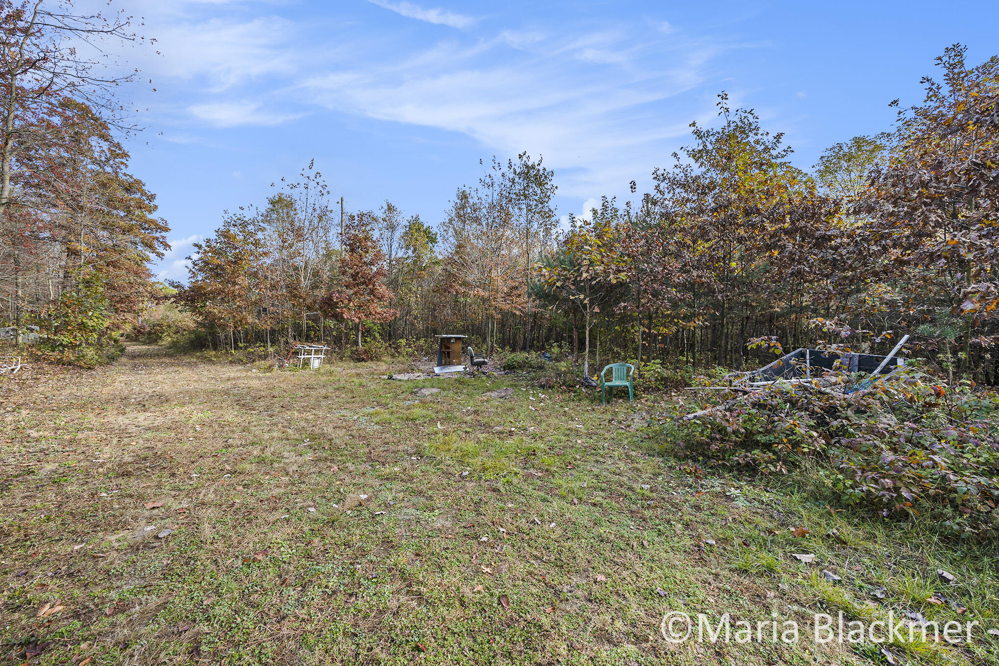 East Charles Road Ionia, MI 48846 - Photo 2 of 24 5717 East Charles-01