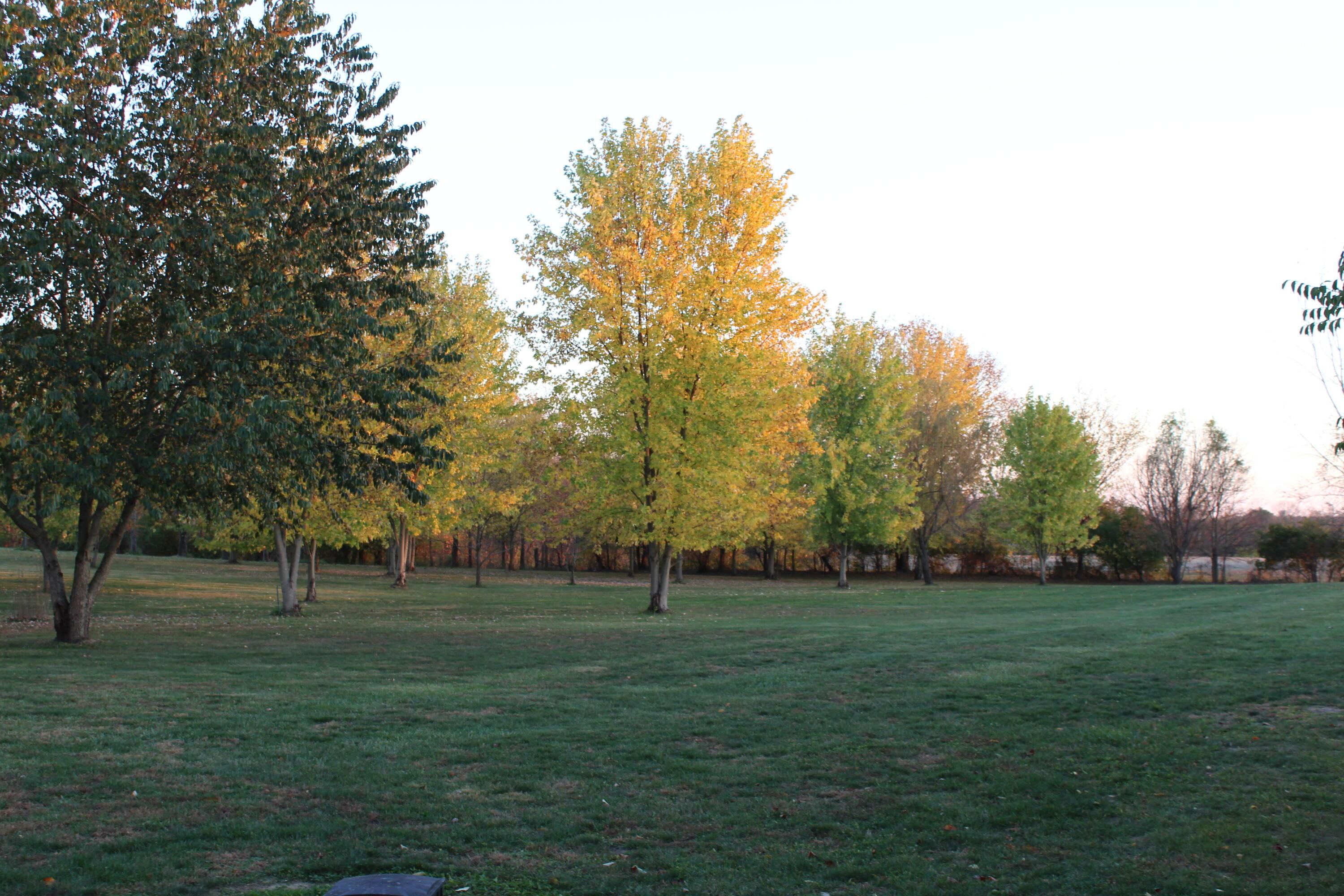11310 Dingess Road Circleville, OH 43113 - Photo 43 of 44 IMG_1055