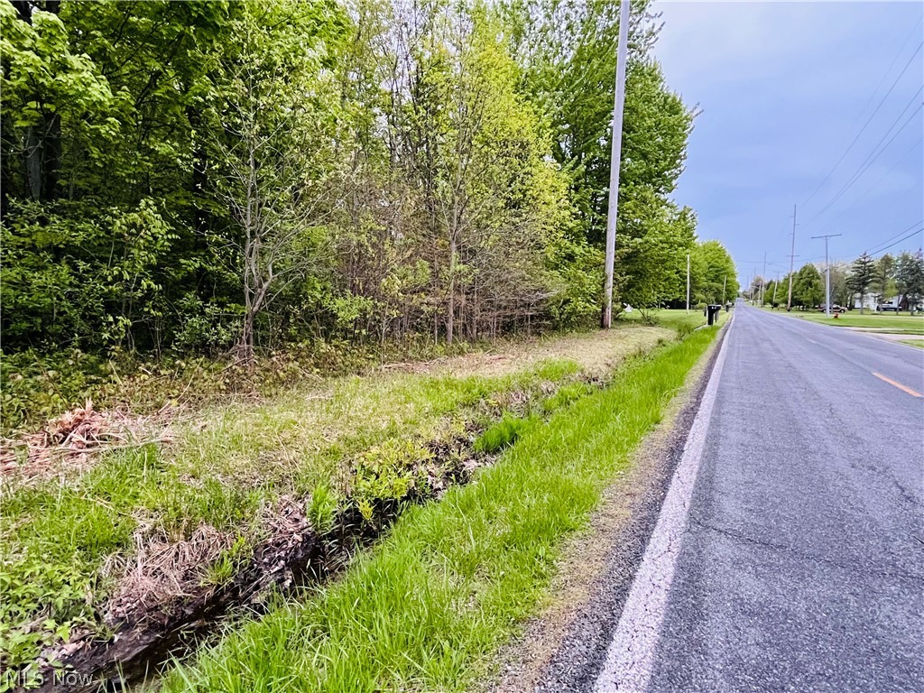 Bates Road Madison, OH 44057 - Photo 12 of 14
