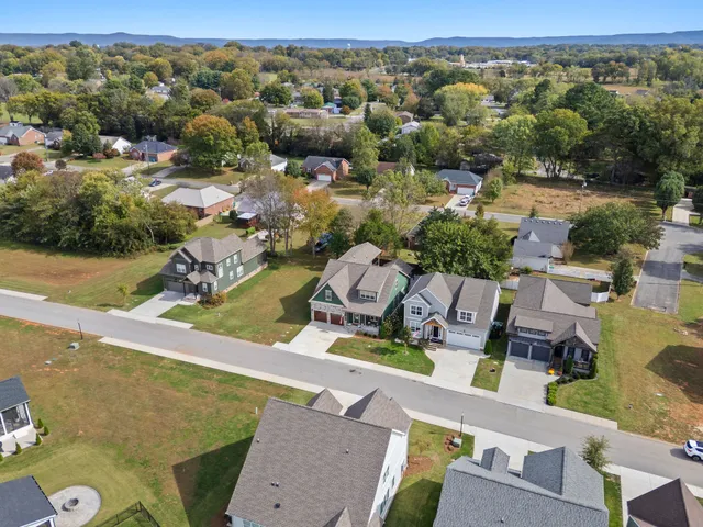 aerial view of a house with a yard and large tree