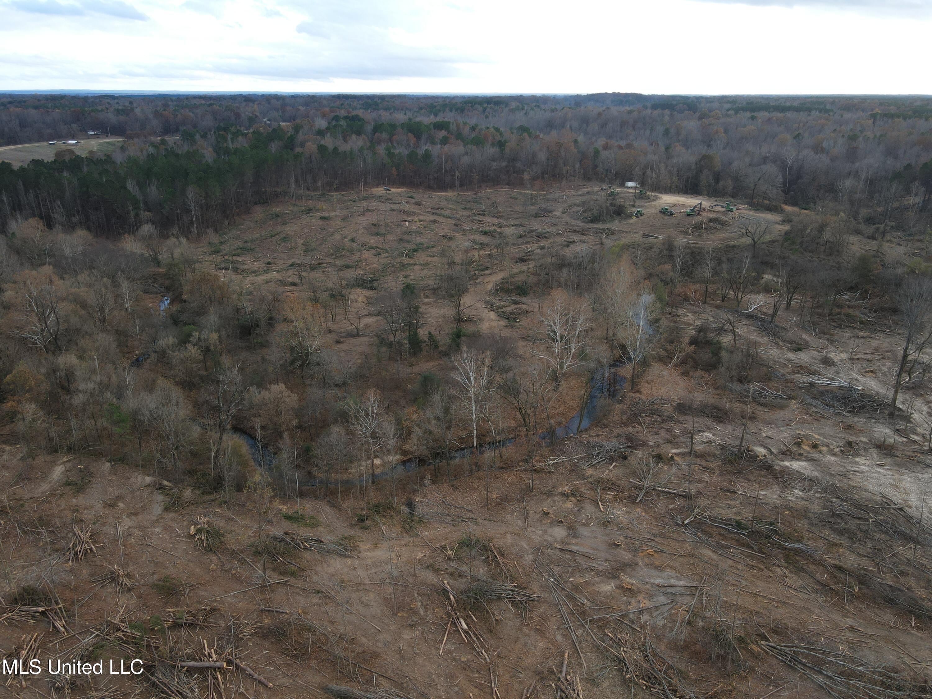 Lane Road Scobey, MS 38953 - Photo 11 of 31 11