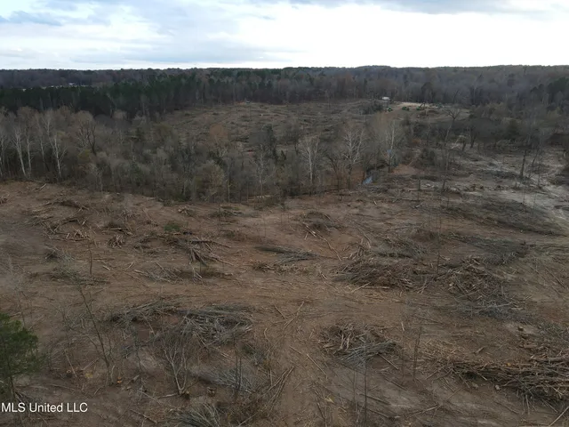 $355,200 | Lane Road, Scobey, MS 38953