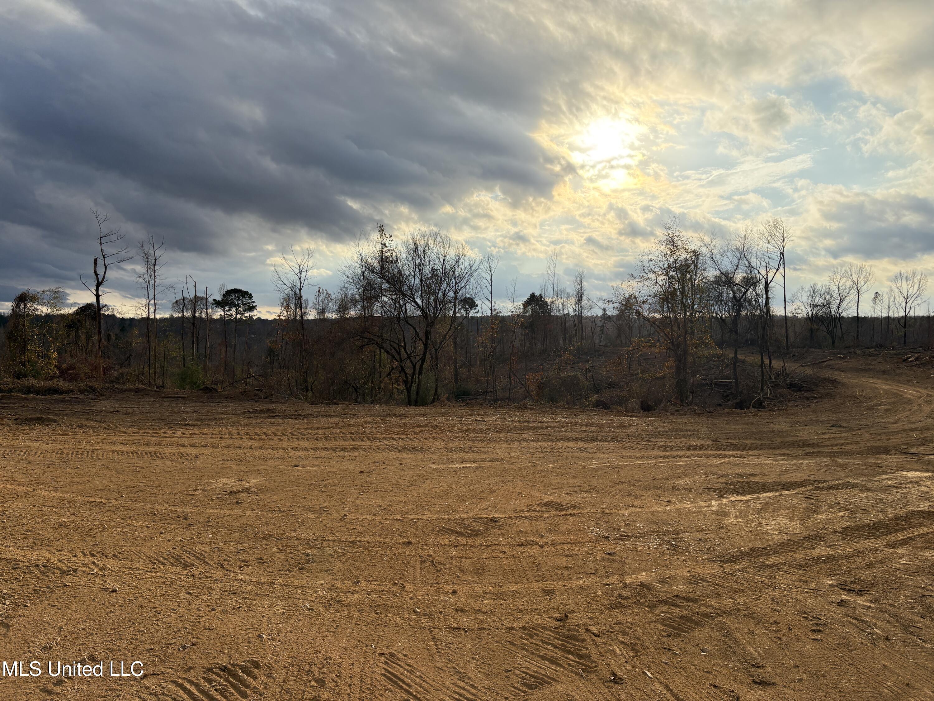 Lane Road Scobey, MS 38953 - Photo 14 of 31 14
