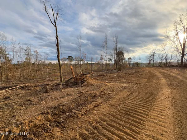 $355,200 | Lane Road, Scobey, MS 38953