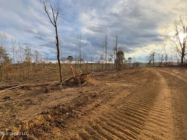 $355,200 | Lane Road, Scobey, MS 38953