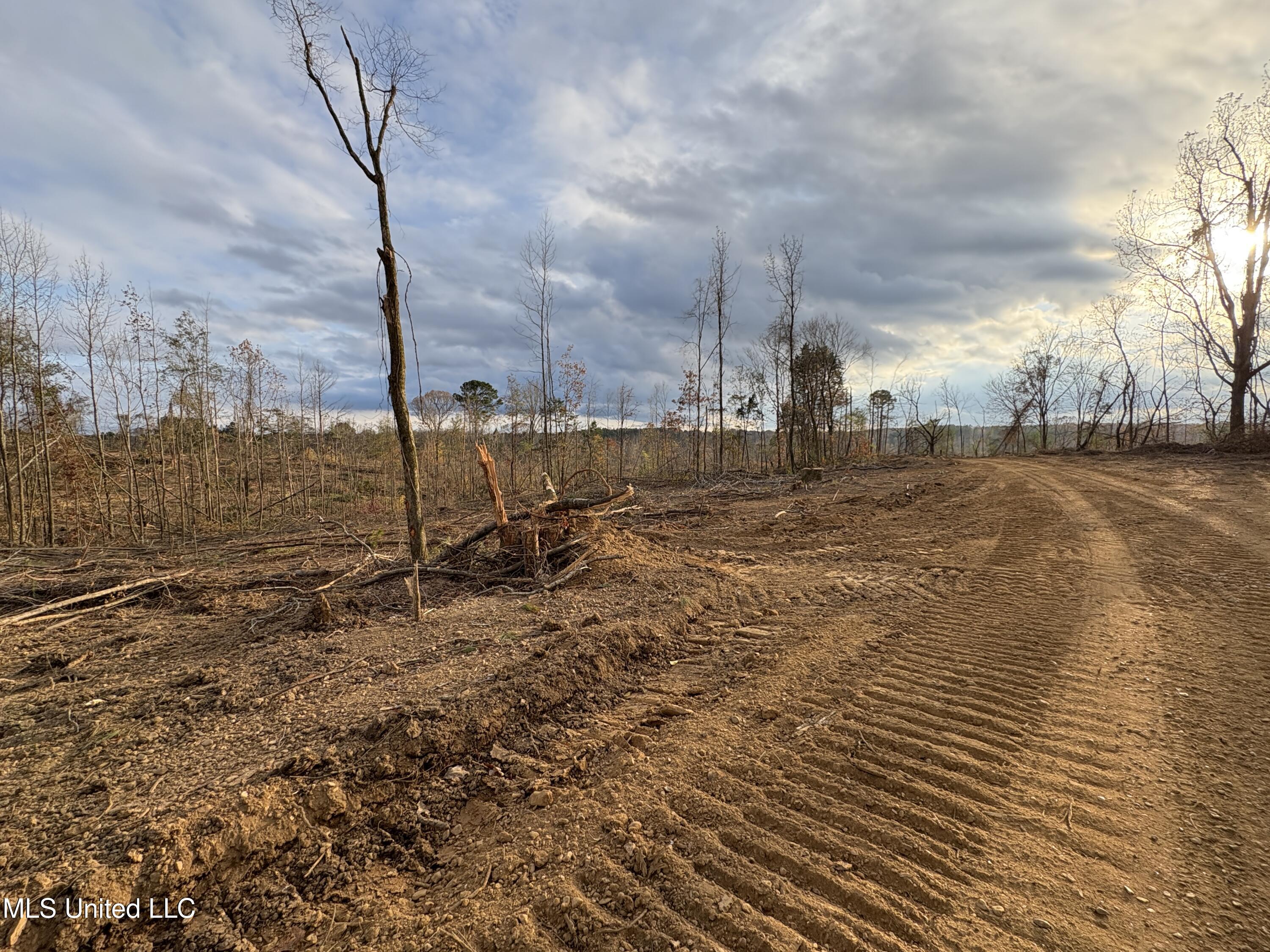 Lane Road Scobey, MS 38953 - Photo 15 of 31 15