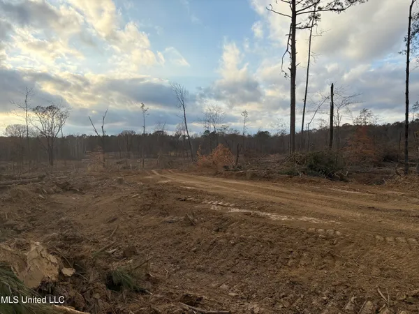 $355,200 | Lane Road, Scobey, MS 38953