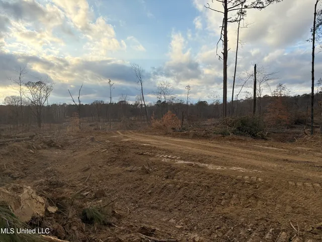 $355,200 | Lane Road, Scobey, MS 38953