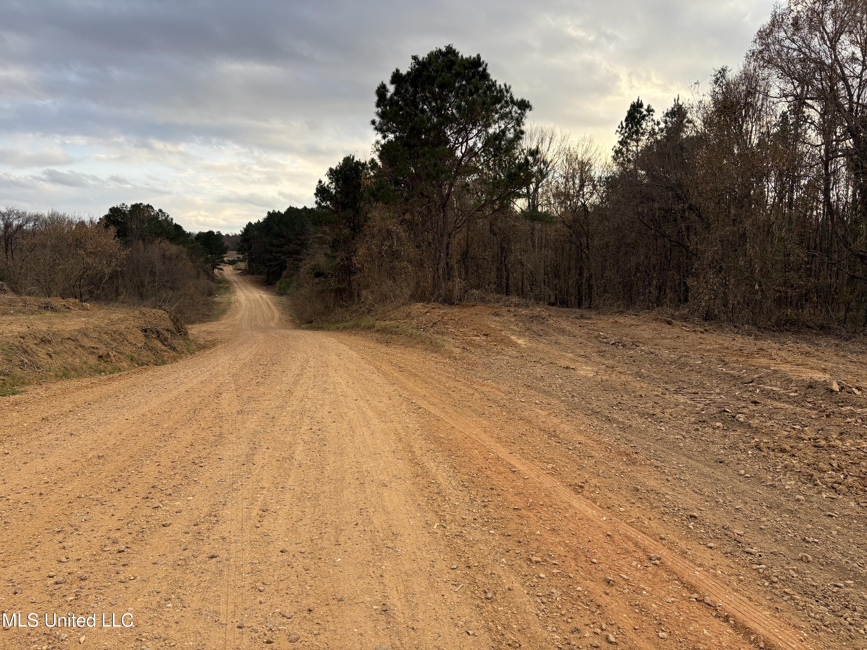 Lane Road Scobey, MS 38953 - Photo 17 of 31 17