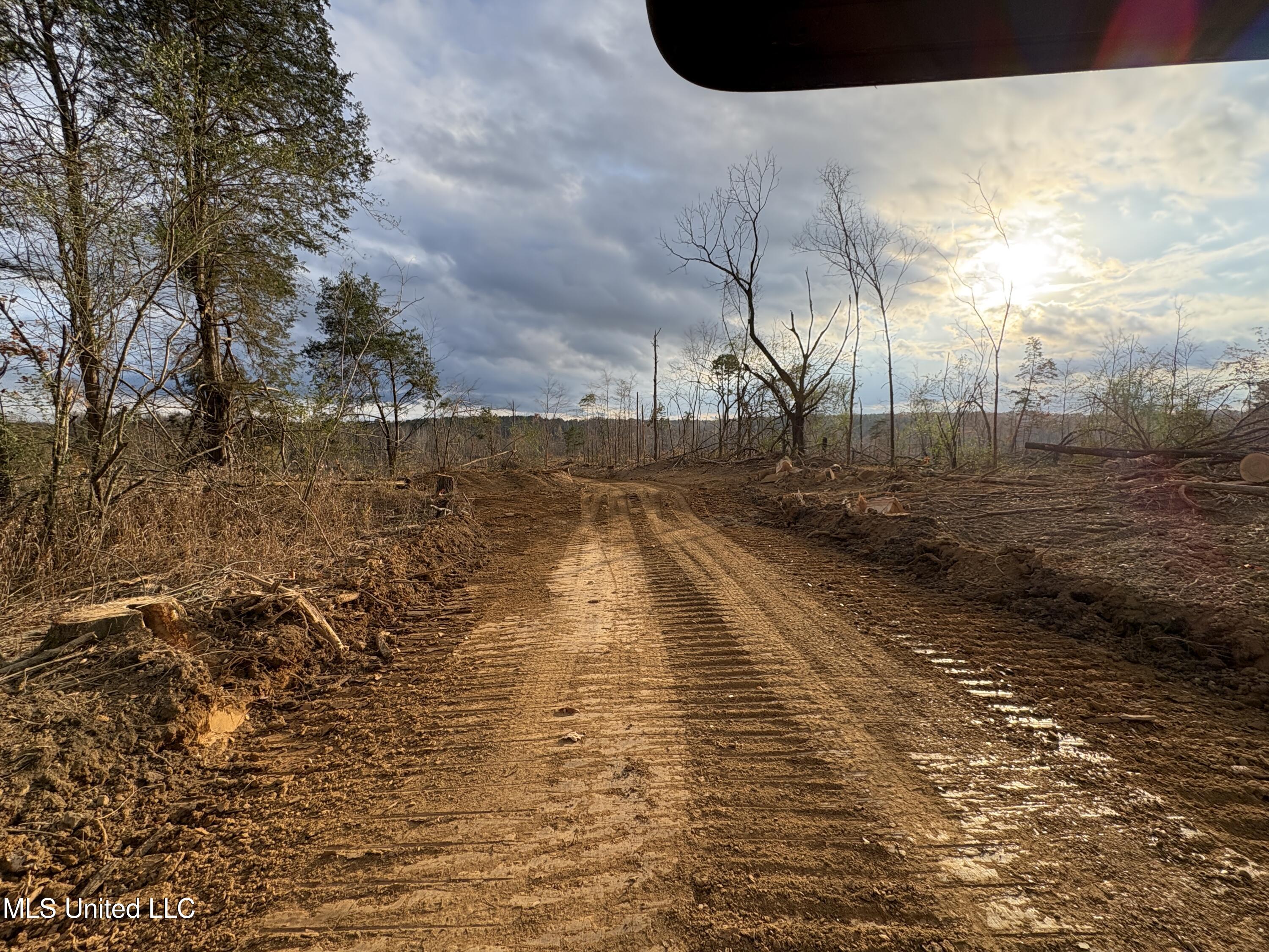 Lane Road Scobey, MS 38953 - Photo 18 of 31 22