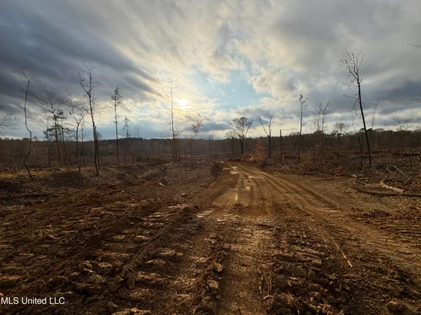 $355,200 | Lane Road, Scobey, MS 38953