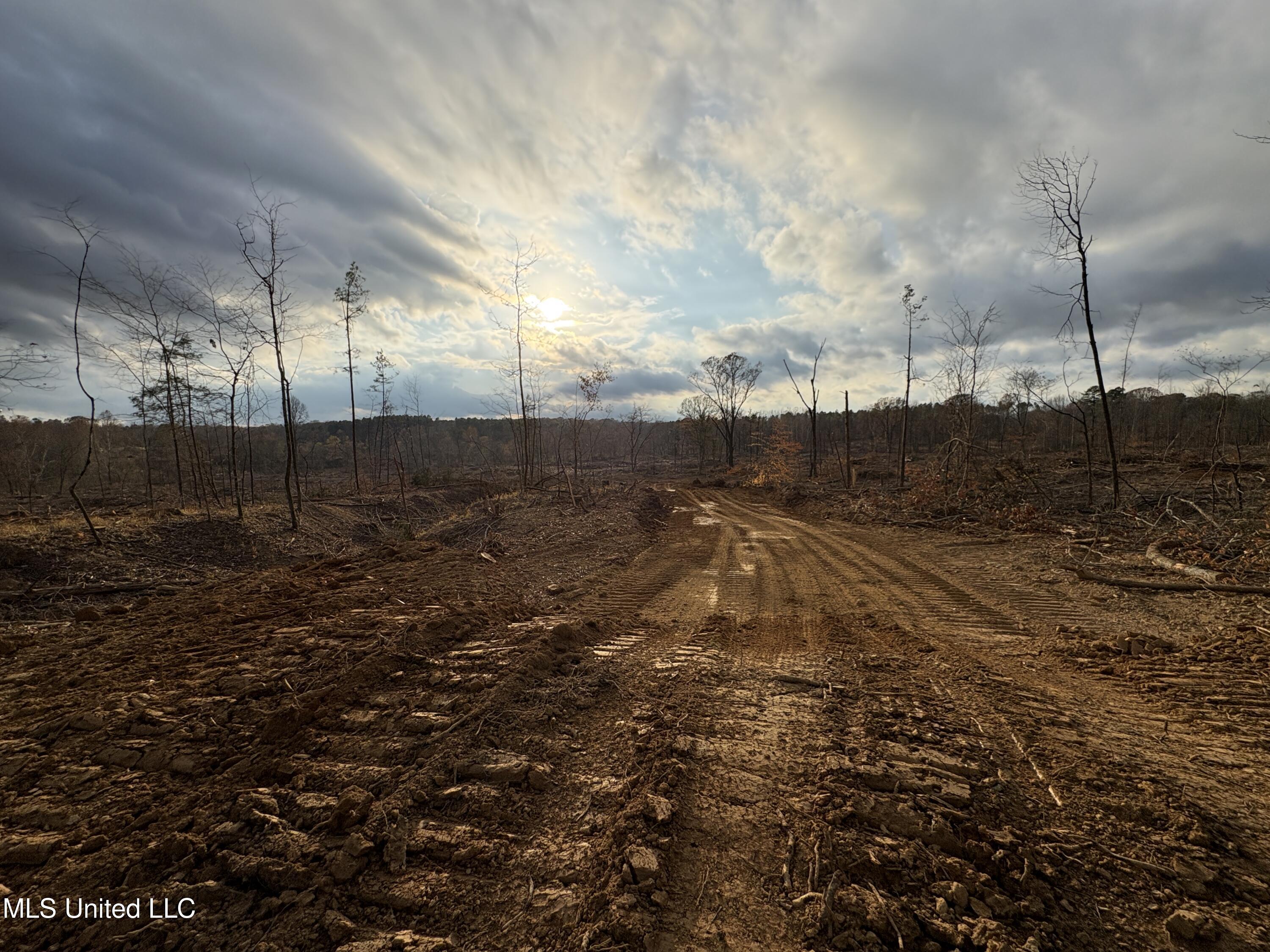 Lane Road Scobey, MS 38953 - Photo 19 of 31 23