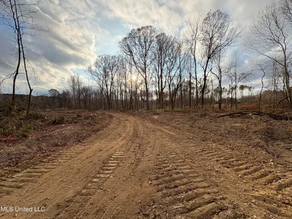 $355,200 | Lane Road, Scobey, MS 38953