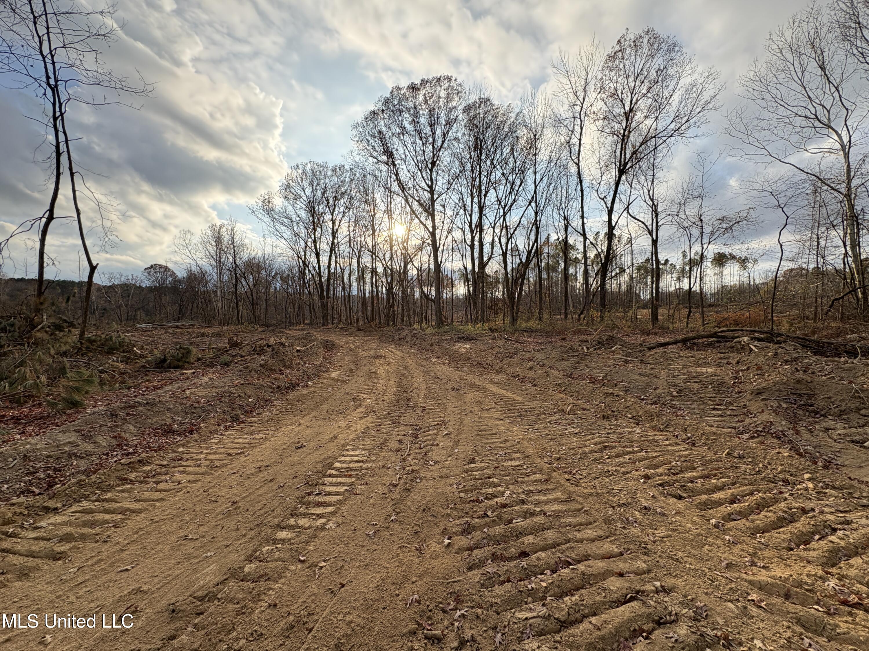 Lane Road Scobey, MS 38953 - Photo 20 of 31 24