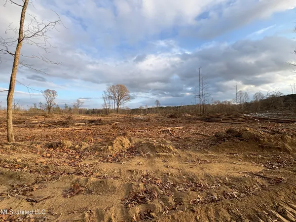 $355,200 | Lane Road, Scobey, MS 38953