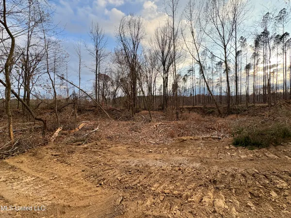 $355,200 | Lane Road, Scobey, MS 38953