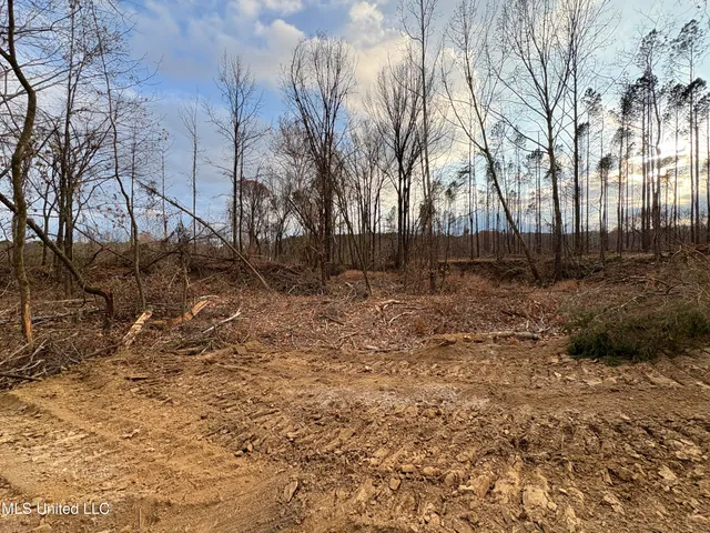 $355,200 | Lane Road, Scobey, MS 38953