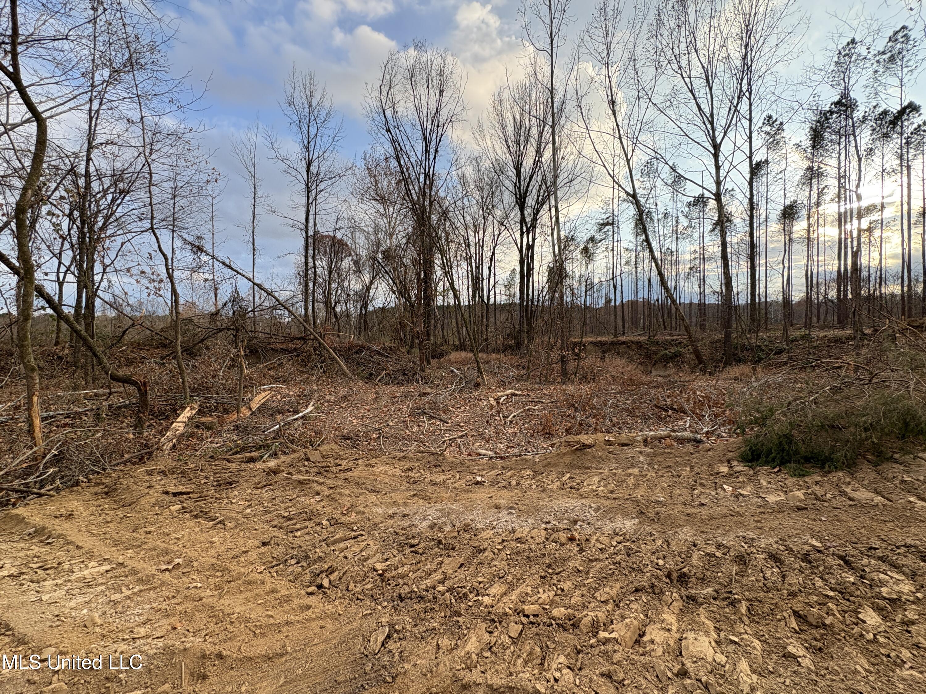 Lane Road Scobey, MS 38953 - Photo 22 of 31 26