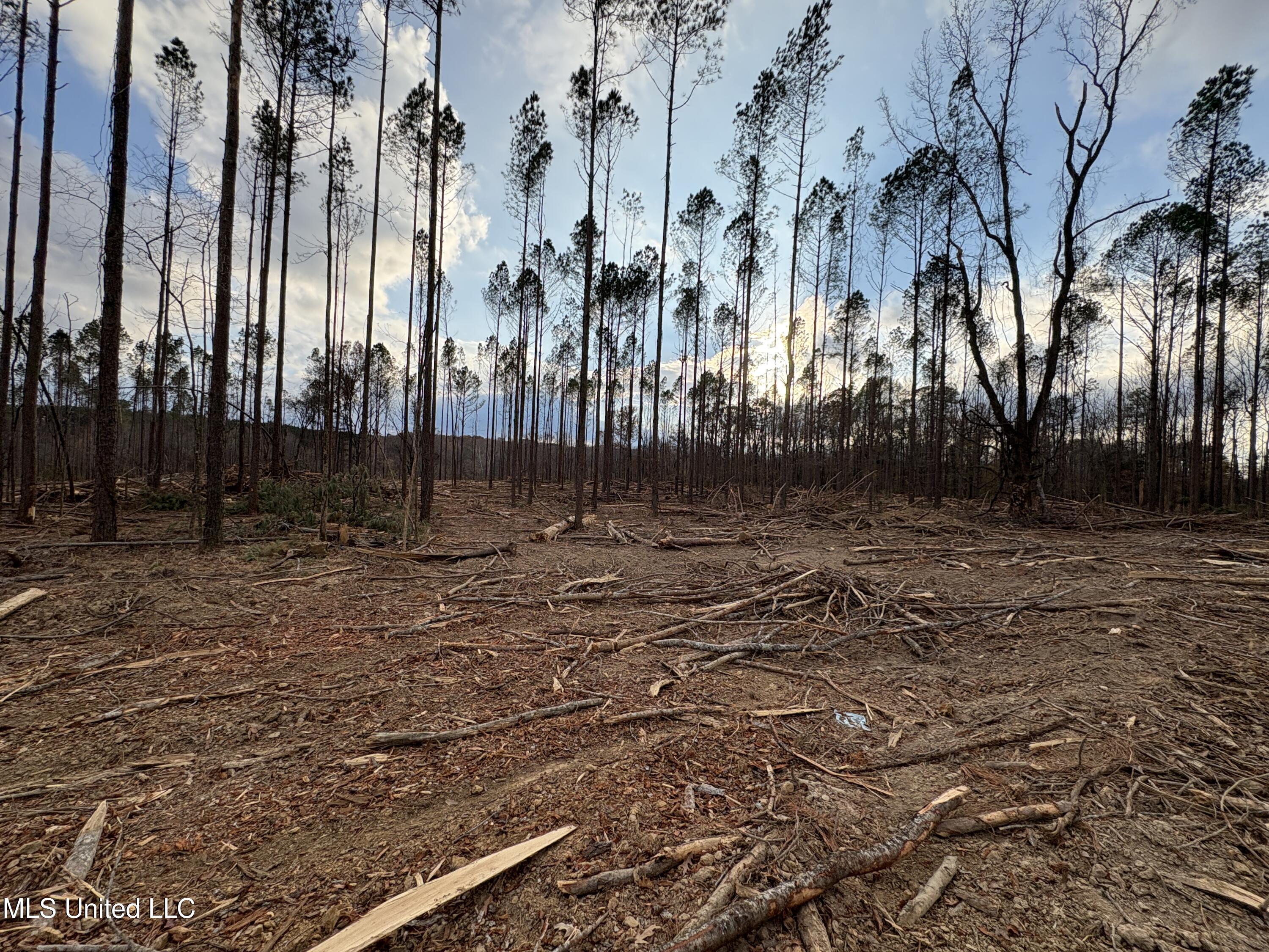 Lane Road Scobey, MS 38953 - Photo 23 of 31 27