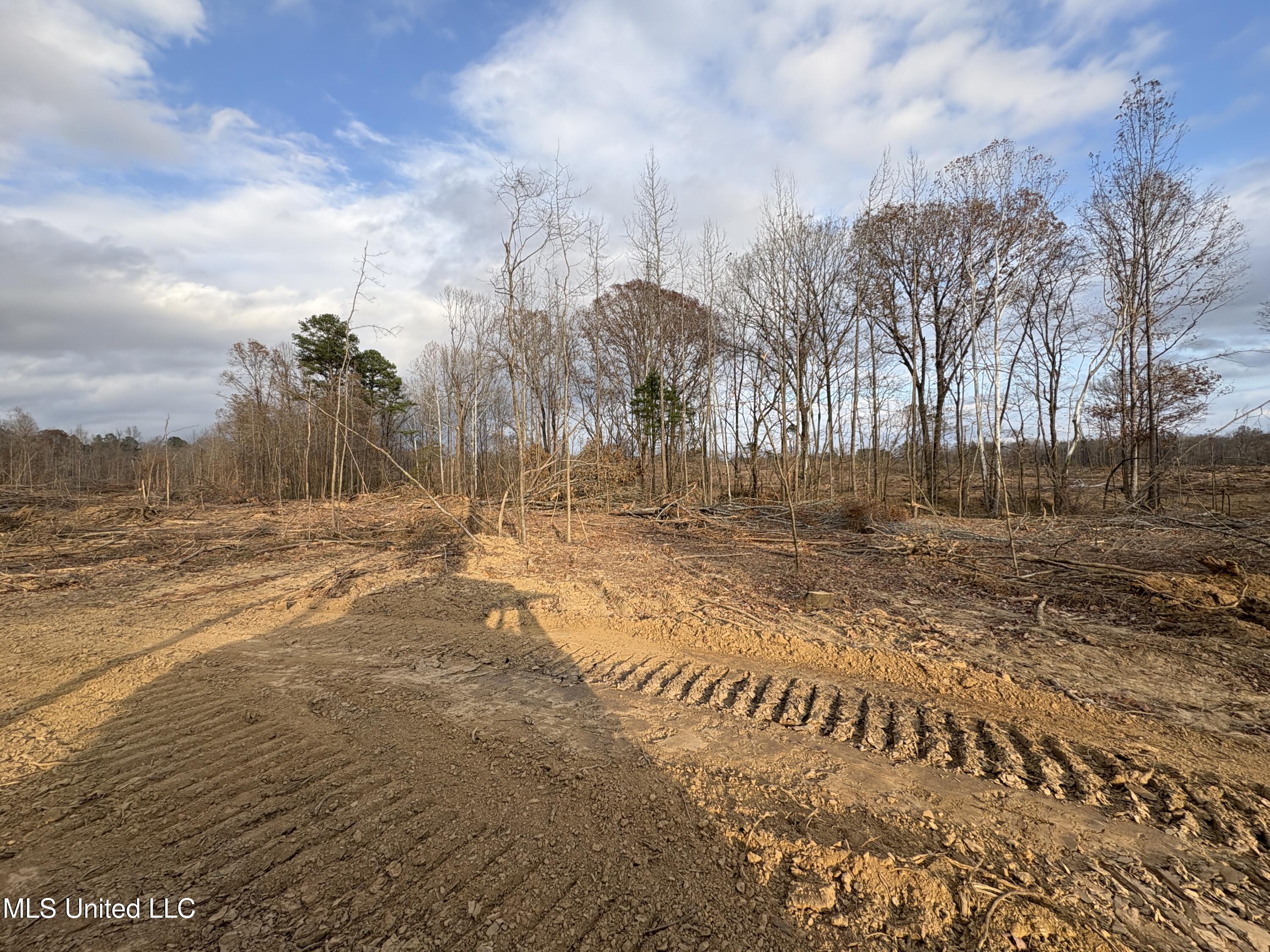 Lane Road Scobey, MS 38953 - Photo 24 of 31 28