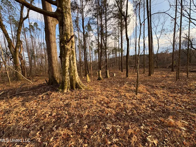 $355,200 | Lane Road, Scobey, MS 38953