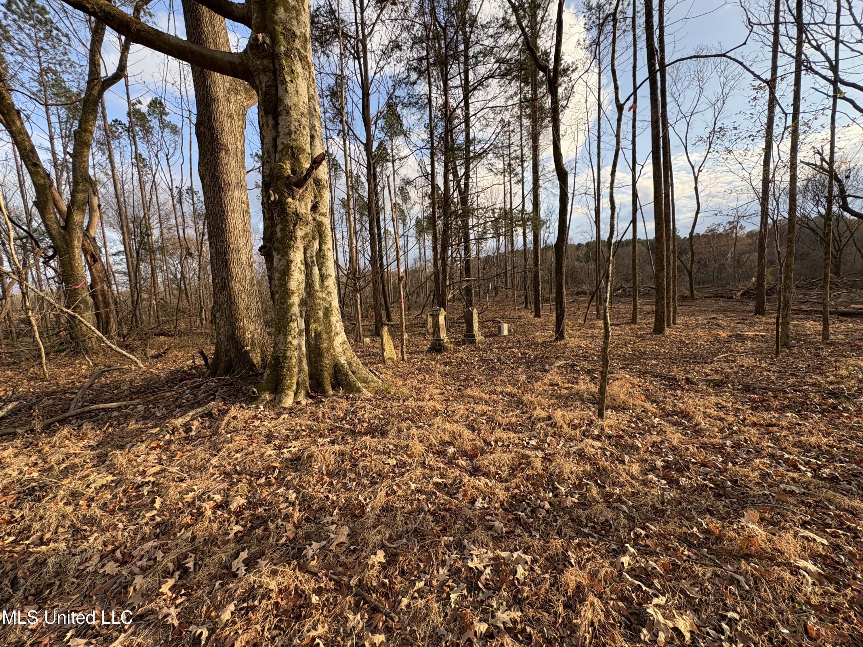 Lane Road Scobey, MS 38953 - Photo 25 of 31 29