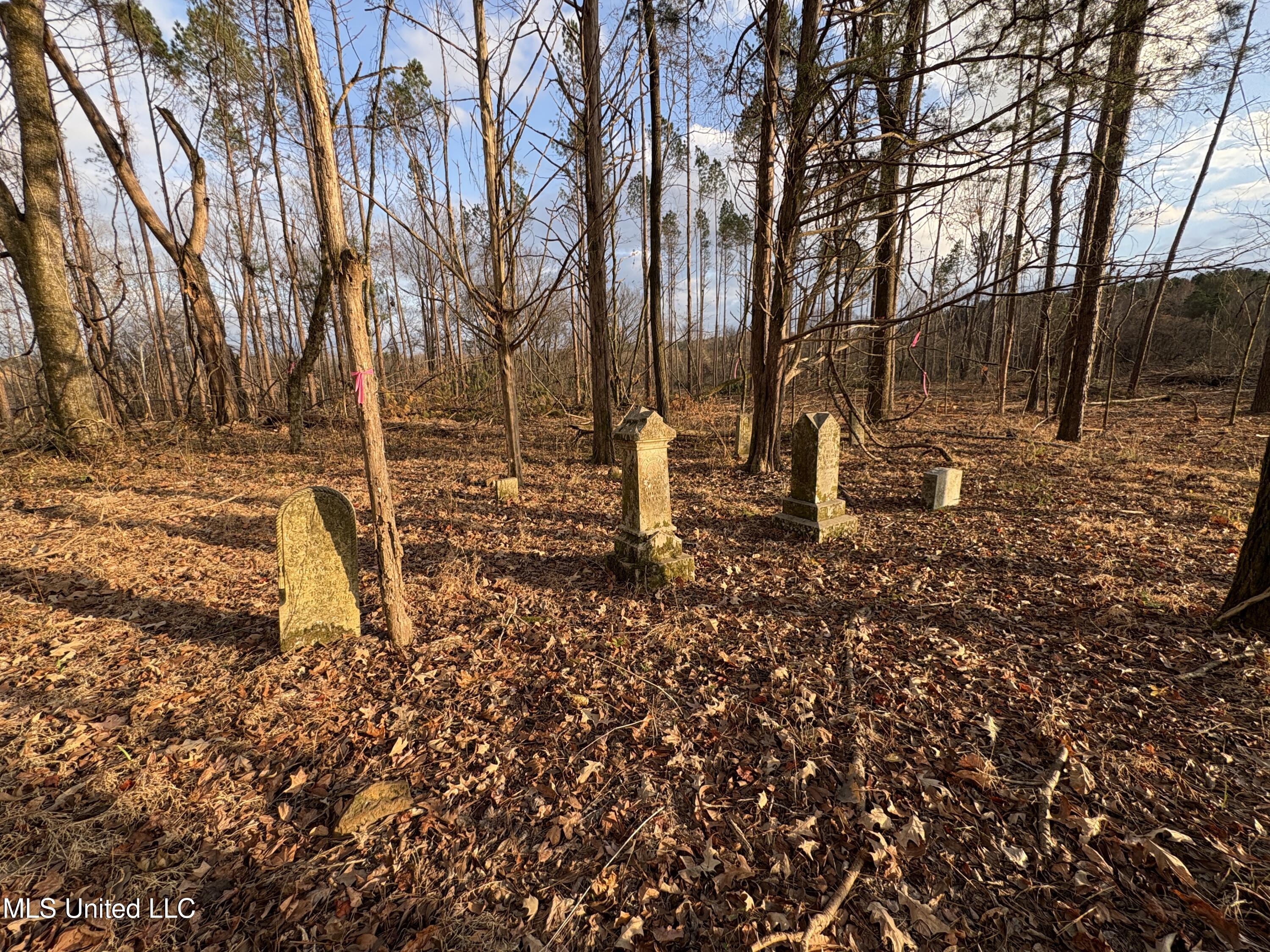 Lane Road Scobey, MS 38953 - Photo 26 of 31 30