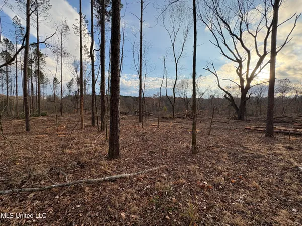 $355,200 | Lane Road, Scobey, MS 38953