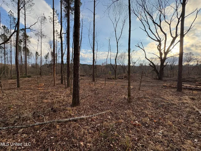 $355,200 | Lane Road, Scobey, MS 38953