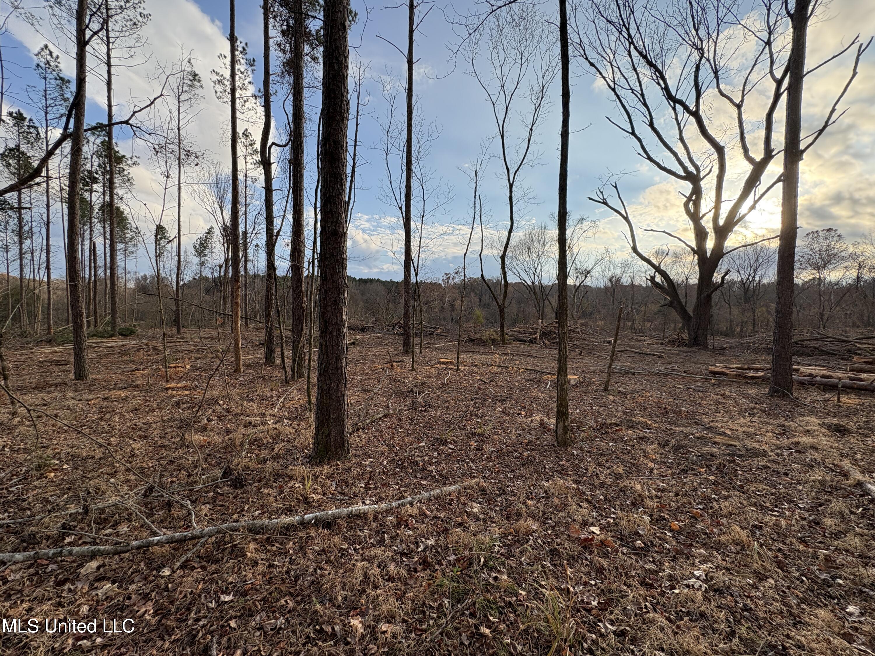 Lane Road Scobey, MS 38953 - Photo 27 of 31 31