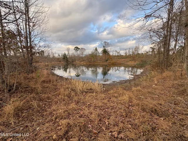$355,200 | Lane Road, Scobey, MS 38953