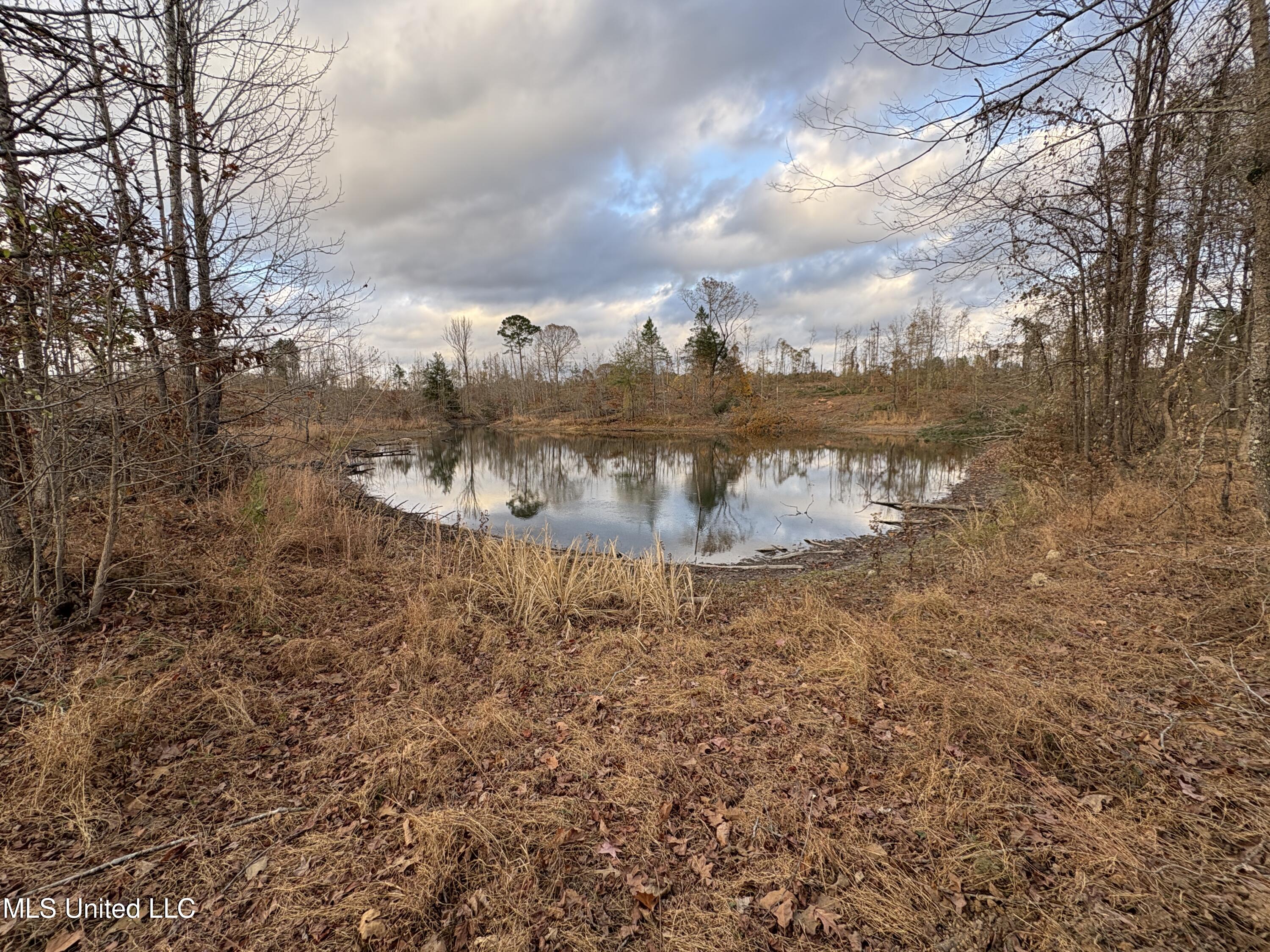 Lane Road Scobey, MS 38953 - Photo 28 of 31 32