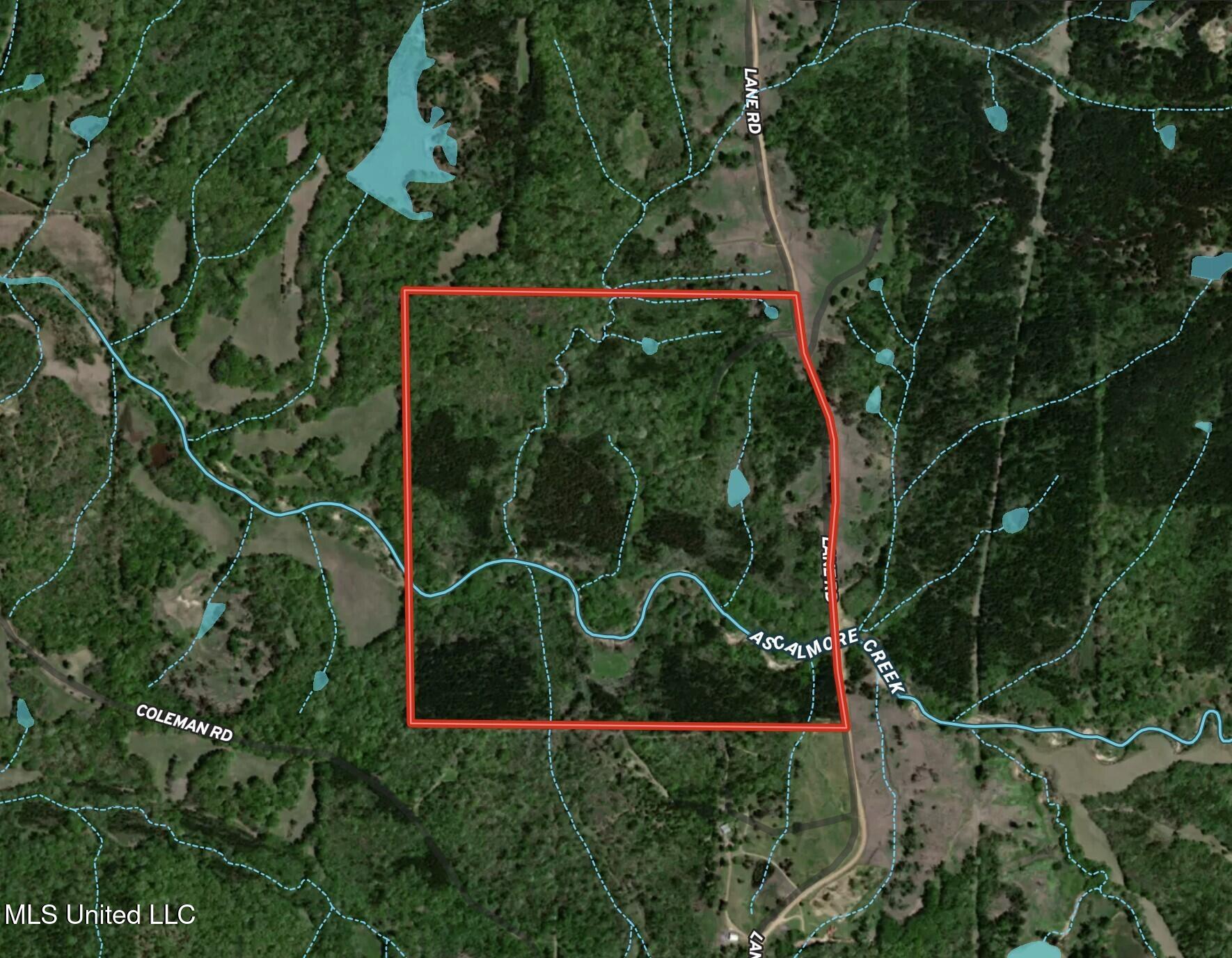Lane Road Scobey, MS 38953 - Photo 30 of 31 Rosebloom map 2