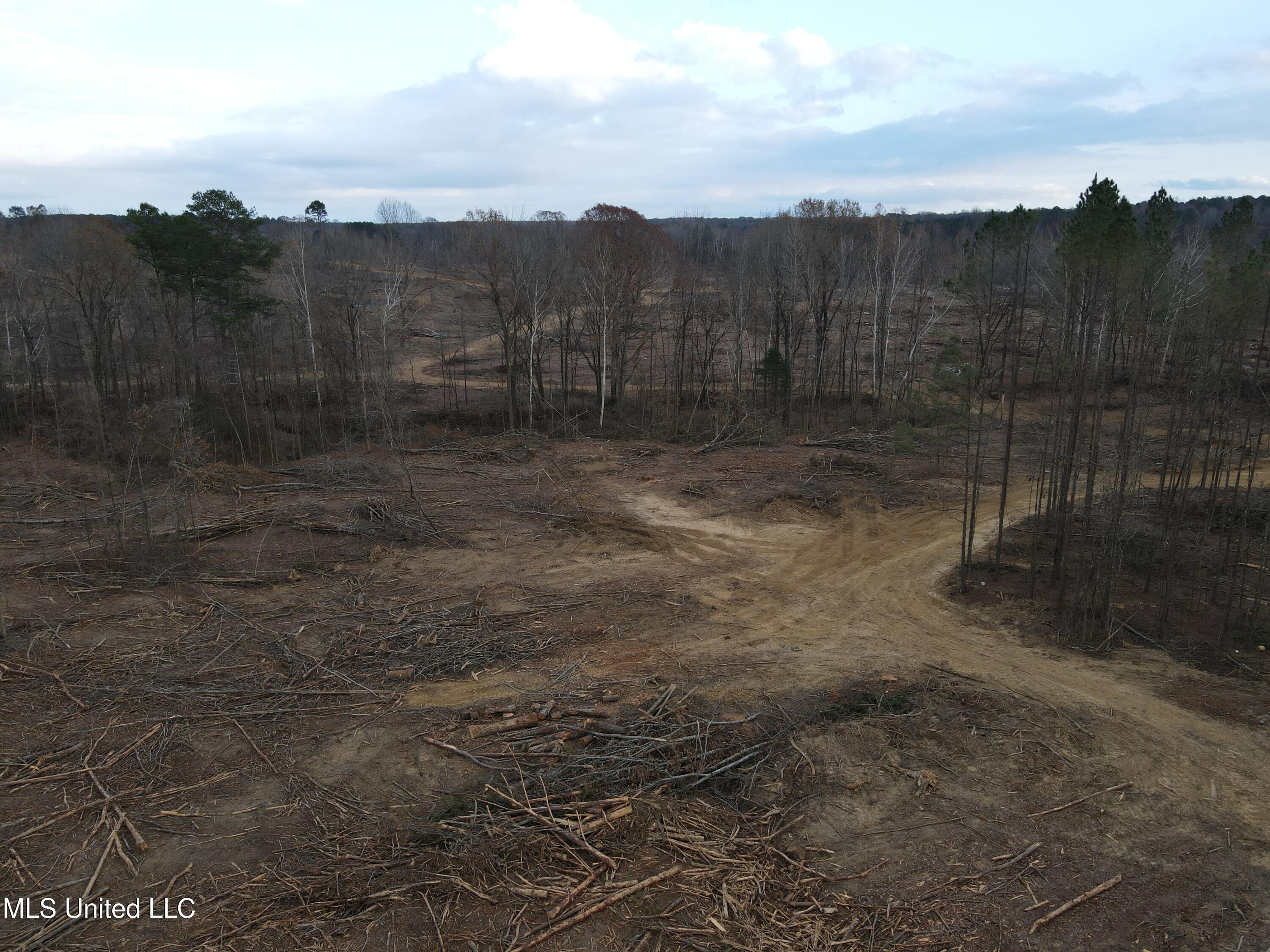 Lane Road Scobey, MS 38953 - Photo 3 of 31 3
