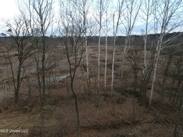 $355,200 | Lane Road, Scobey, MS 38953