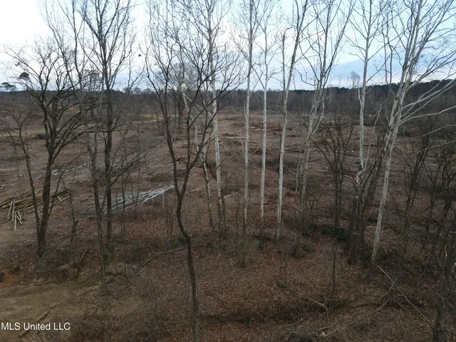 $355,200 | Lane Road, Scobey, MS 38953