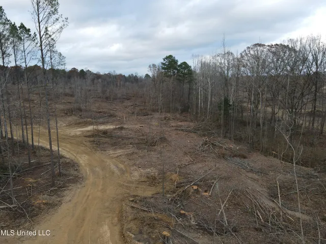 $355,200 | Lane Road, Scobey, MS 38953