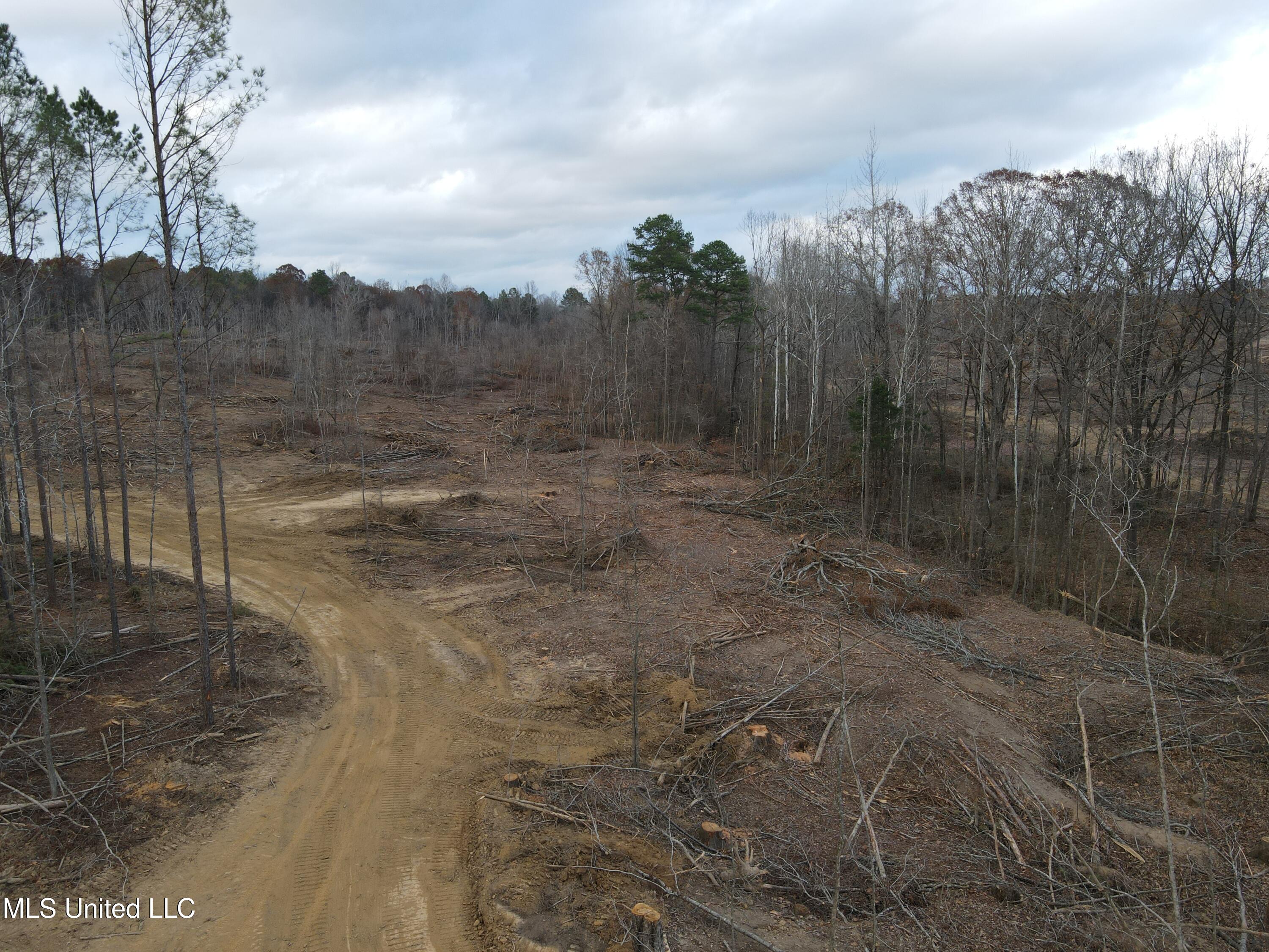 Lane Road Scobey, MS 38953 - Photo 6 of 31 6