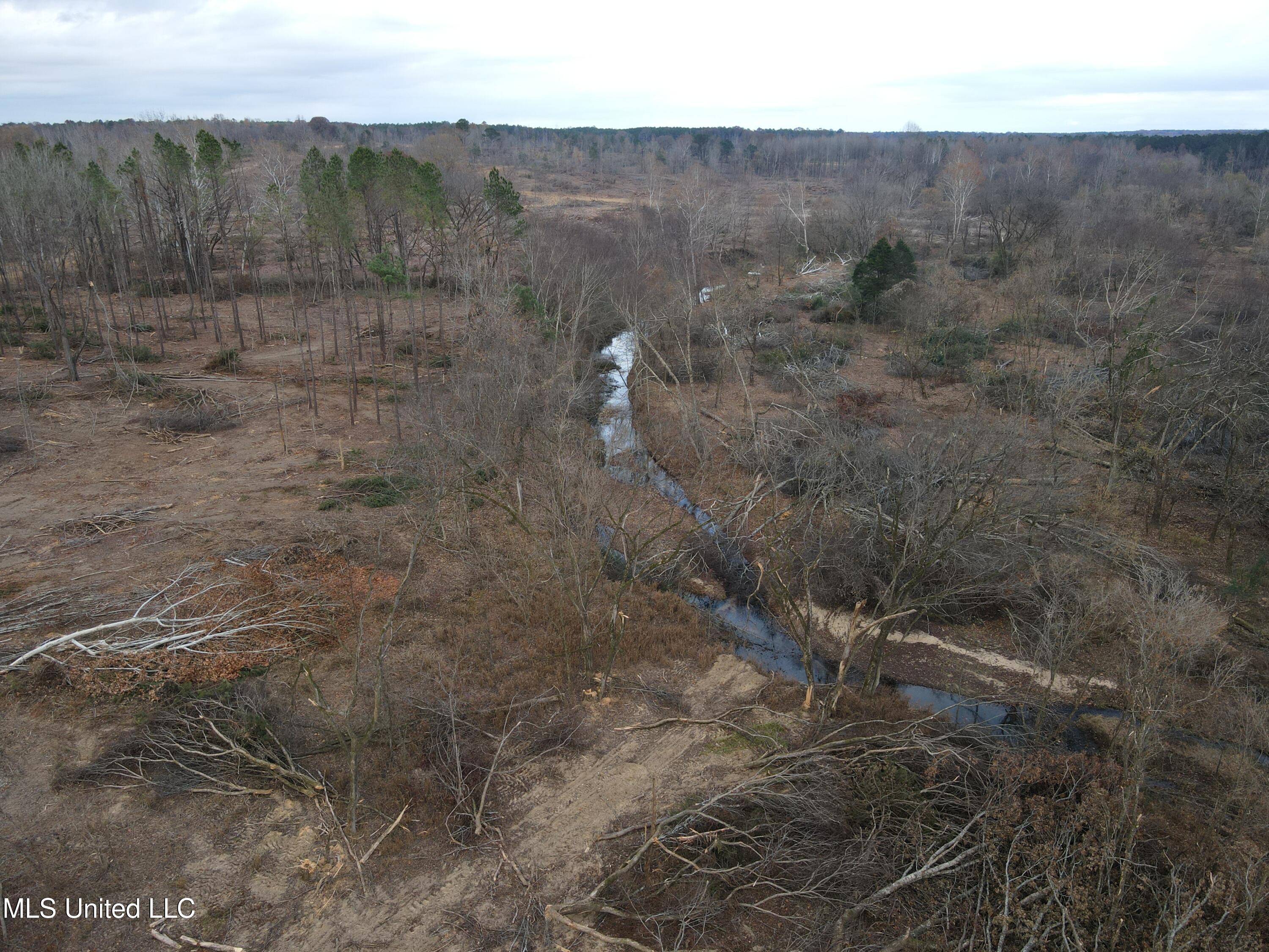 Lane Road Scobey, MS 38953 - Photo 7 of 31 7