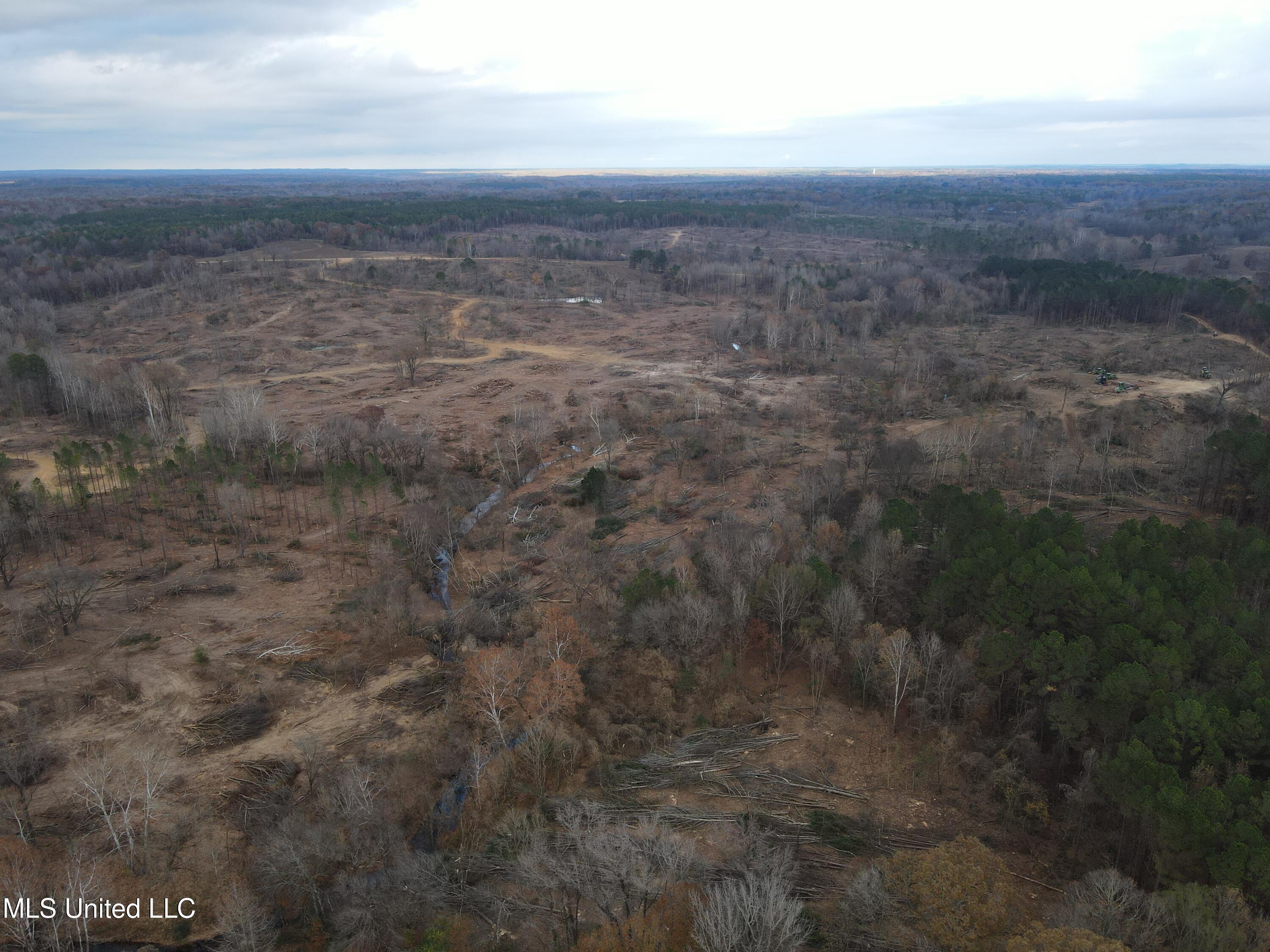 Lane Road Scobey, MS 38953 - Photo 9 of 31 9