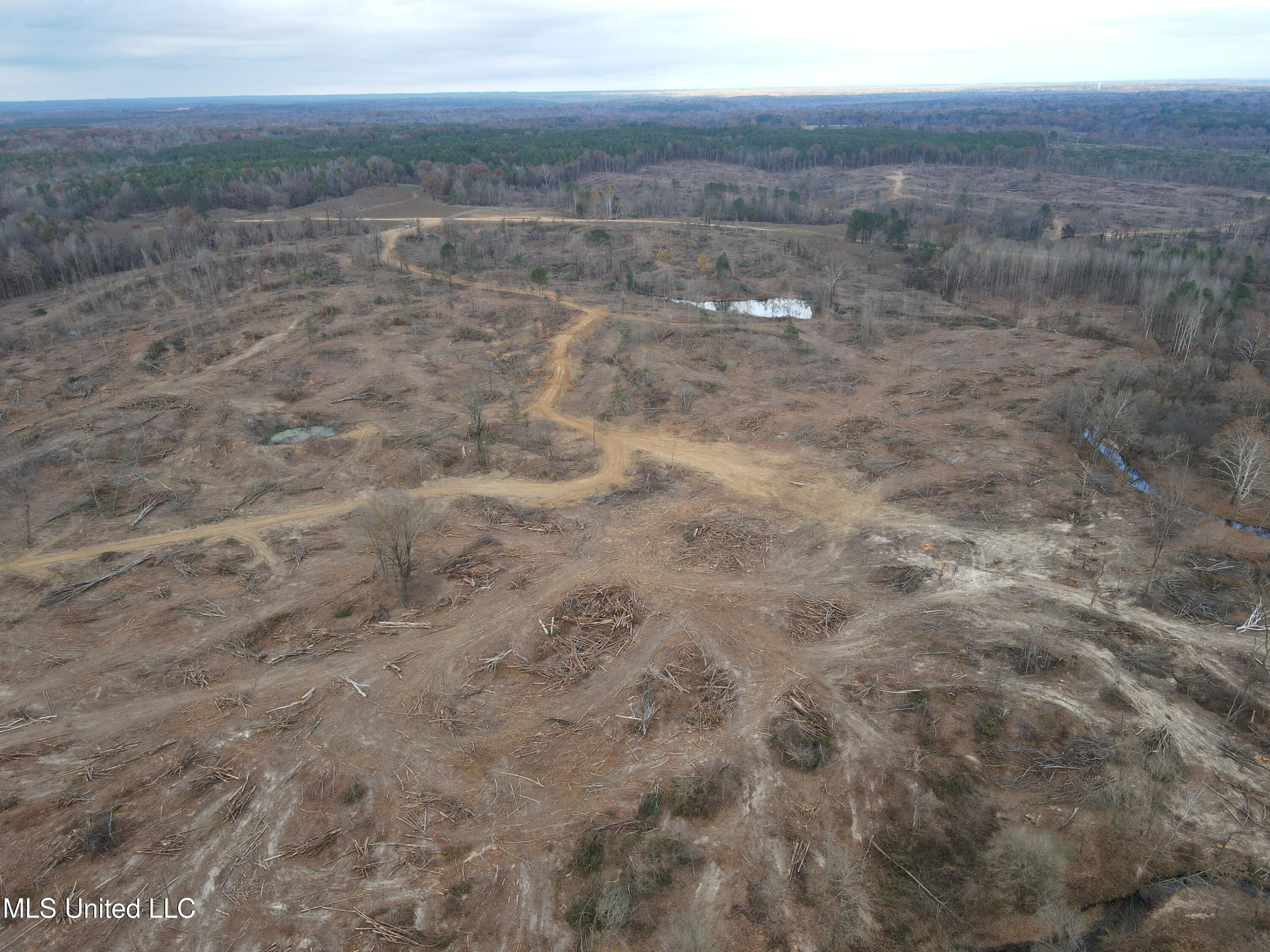 Lane Road Scobey, MS 38953 - Photo 10 of 31 10