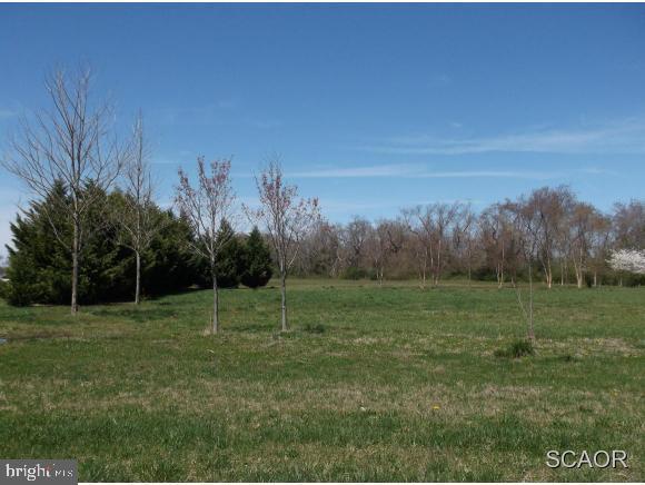 35465 Red Tail Road Lewes, DE 19958 - Photo 1 of 6 Gallery Image 1