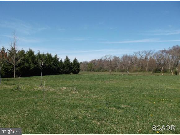 35465 Red Tail Road Lewes, DE 19958 - Photo 2 of 6 Gallery Image 2