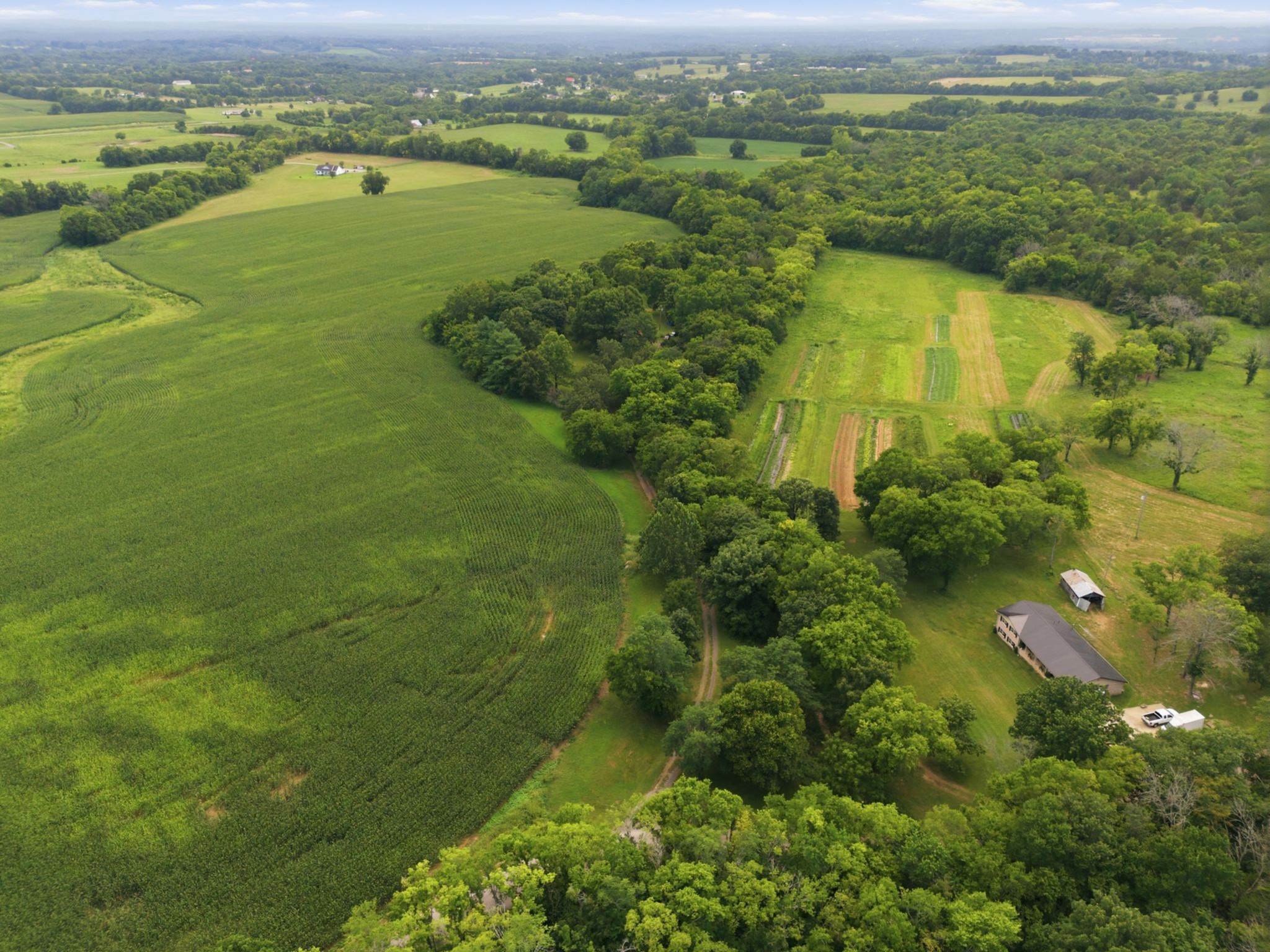 145 Crenshaw Road Bethpage, TN 37022 - Photo 30 of 34 a view of a lake with a houses