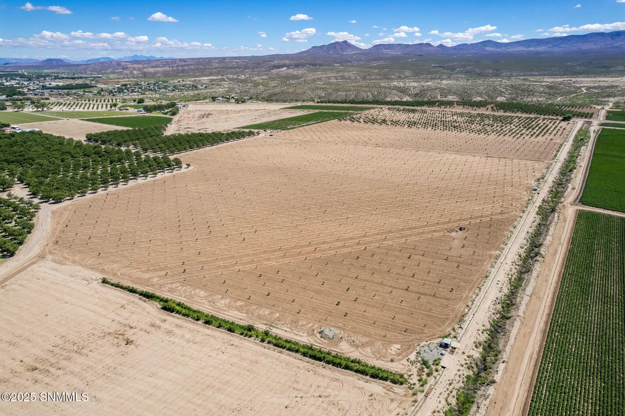 215 Red Hills Road Hatch, NM 87937 - Photo 43 of 50 tempImagezBWATk