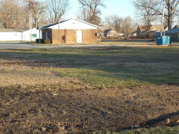 a view of yard with large trees