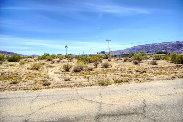 a view of a road with an ocean beach