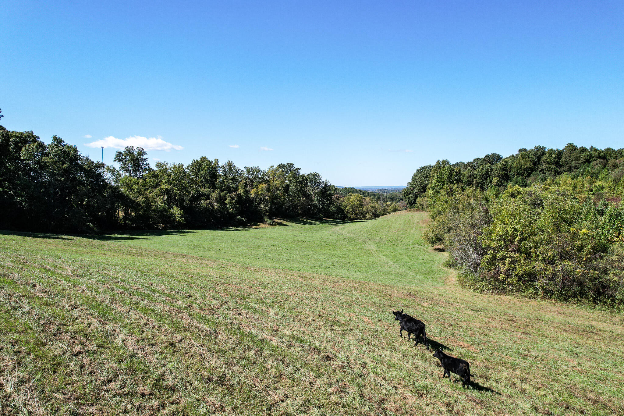 0 Old Baileyton Road, Unit 2 Afton, TN 37616 - Photo 13 of 18 DJI_0210