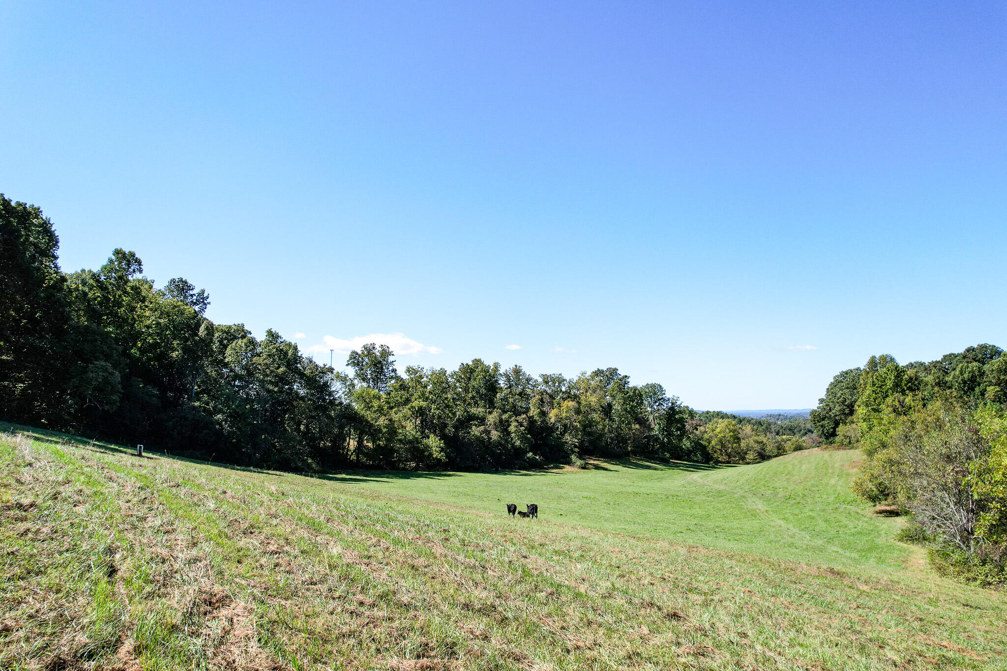 0 Old Baileyton Road, Unit 2 Afton, TN 37616 - Photo 15 of 18 DJI_0213